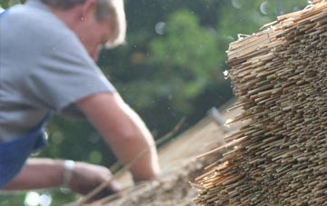 professional Hannaford thatchers